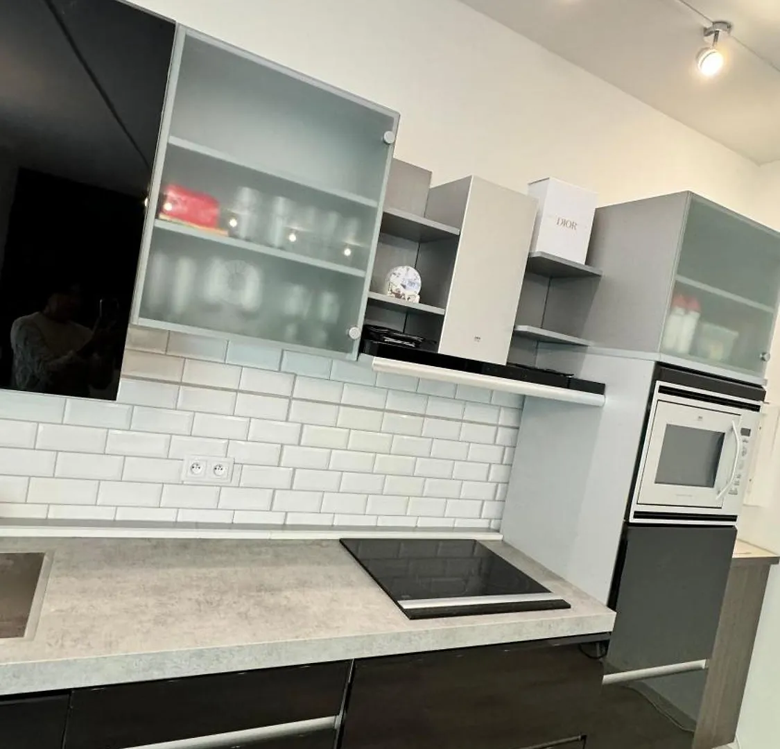 Apartmán Jeseniova Praha
