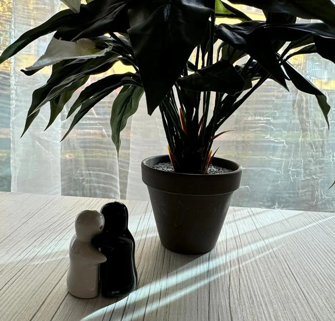 Apartmán Jeseniova Praha